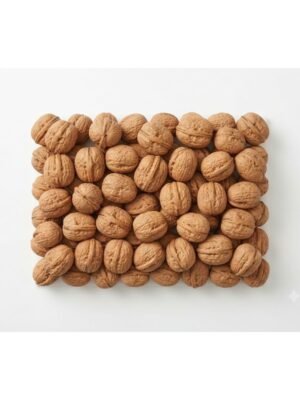 Raw walnuts in Shell Raw walnuts in Shell