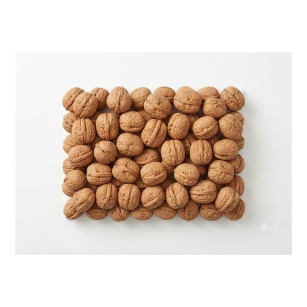 Raw walnuts in Shell Raw walnuts in Shell