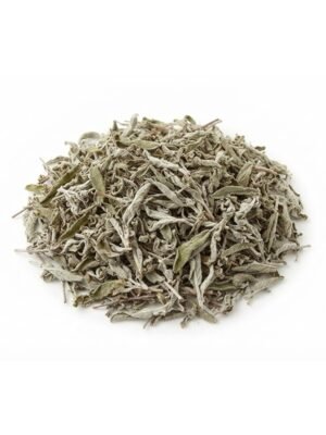 Sage Leaves Sage Leaves