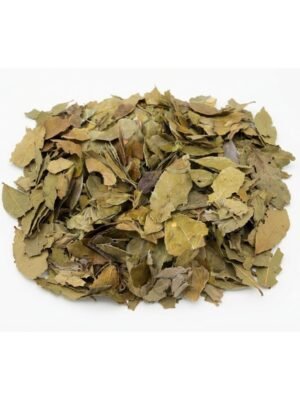 Sidr Leaves Sidr Leaves