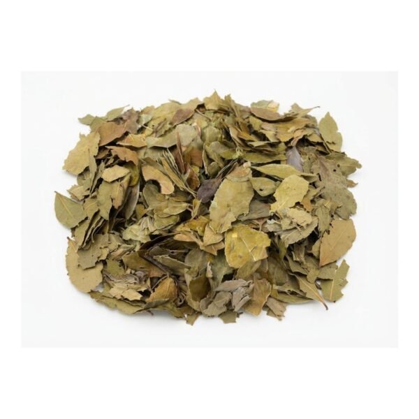 Sidr Leaves Sidr Leaves