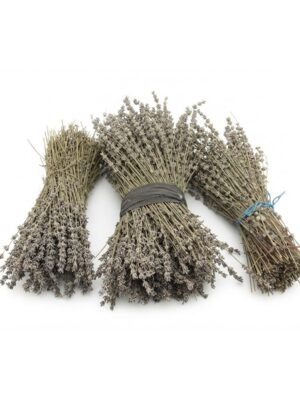 Zoufa Zoufa